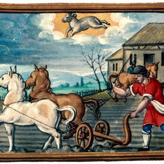 Le travail des paysans