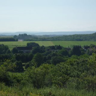 La production agricole